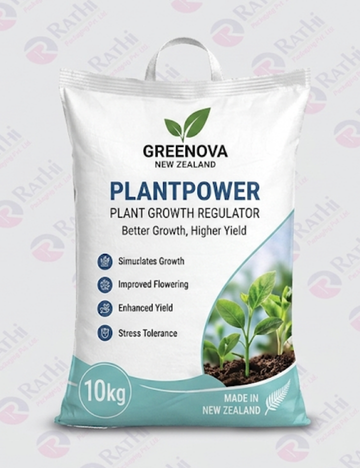 plant